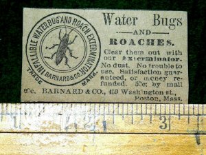 1870s-80s Barnard & Co Water Bugs & Roach Bug Killer Victorian Print Ad L14 