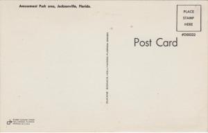 Florida  Jacksonville   Amusement Park Ferris Wheel