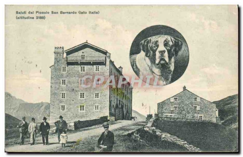 Vintage Postcard Dogs Dog saluti dal Piccolo San Bernardo Lato Italia