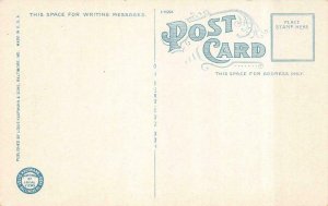 NEWPORT NEWS, VA Virginia  U.S. CUSTOM HOUSE & POST OFFICE  c1920's Postcard