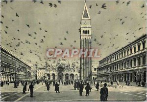 Modern Postcard Venezia Square Pigeons Marc S