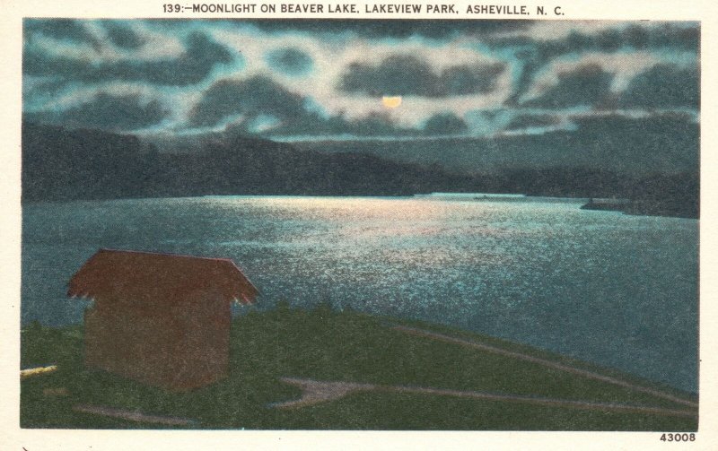 Vintage Postcard 1920's Moonlight Beaver Lakeview Park Asheville North Carolina