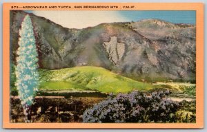 Vtg California CA San Bernardino Mountains Arrowhead & Yucca 1930s View Postcard