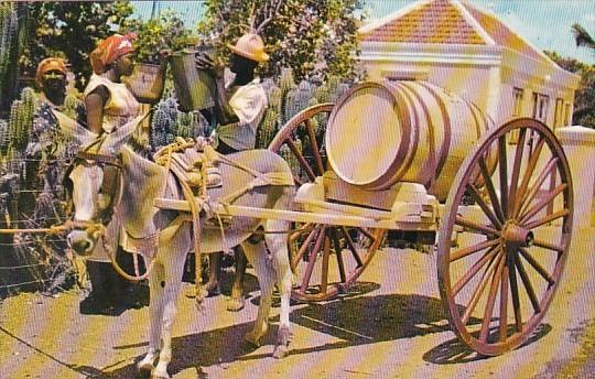 Curacao FWater Vendor With Donkey and Cart