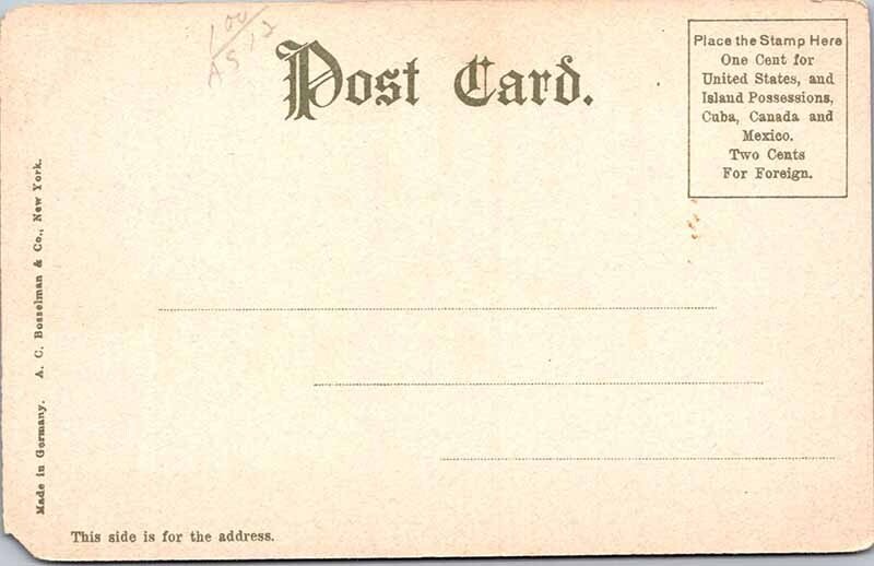 POSTCARD SCENE Albany New York NY AO0564