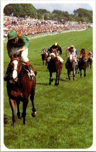 1983 Robinsons Sports Card Rugby Horse Racing sk9182