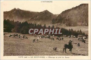 Old Postcard Auvergne Mont Dore Pasture at the foot of Sancy