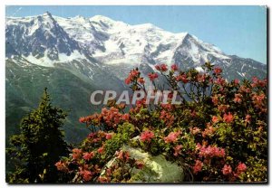 Postcard Modern Au Pays Du Mont Blanc Massif and Mont Aiguille du Midi fiower...