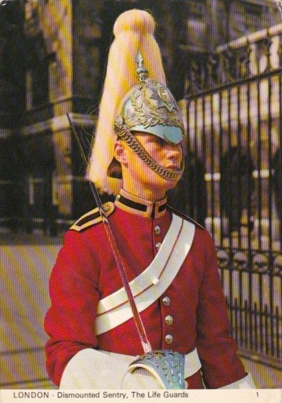 England London Dismounted Sentry The Life Guards