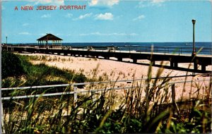 A New Jersey Portait Vintage Postcard C153