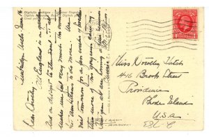 Great Yellow Foxglove