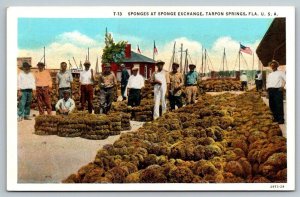 Vintage Florida Postcard - Sponges at the Sponge Exchange  Tarpon Springs