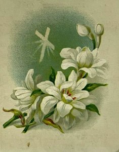 1880s Fleischmann Yeast Religious Cross Flower Floral Lily Trade Card New York