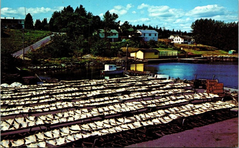 Hubbards Fishing Docks Drying Cod Nova Scotia Canada Boat Chrome Postcard 