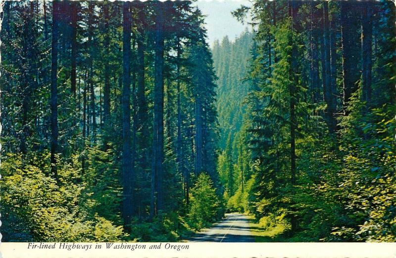 Fir Lined Highways Pacific Northwest Washington Oregon pm 1975 Postcard