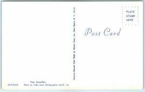 Postcard - Two beauties 