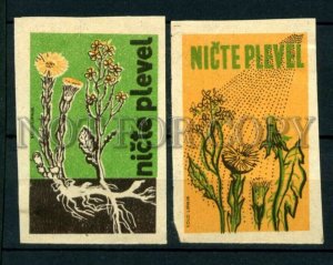 500608 Czechoslovakia FLOWERS nicte weed Vintage match labels