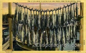 Kingfish, Galveston,Texas,USA Fishing 1961 very light postal marking on front...