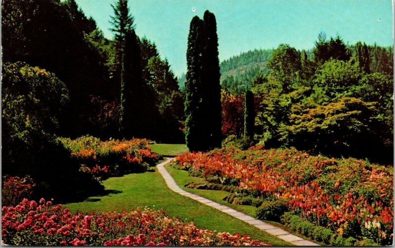 Sunken Gardens Butchart Victoria BC British Columbia Canada Postcard VTG UNP 
