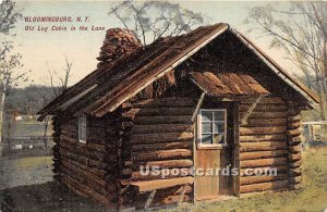 Old Log Cabin in the lane - Bloomingburg, New York NY  