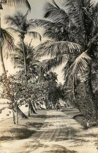 1930-1950 Real Photo Postcard; Lake Trail, Palm Beach FL, LL Cook D-495 Unposted