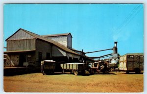 INDIANOLA, Mississippi MS ~ Trucks COTTON BOLL c1950s Sunflower County Postcard