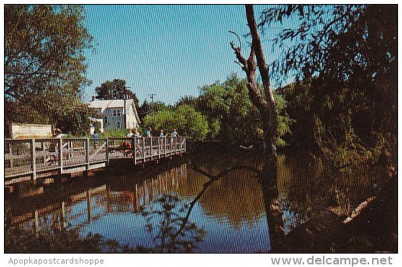 Delaware Rehoboth Beach Children's Fishing Pier Lake Gerar