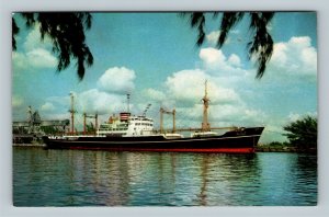 International Ships Load Unload Cargo, Tampa Bay Docks, Florida Vintage Postcard