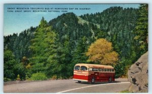 2 Postcards GREAT SMOKY MOUNTAINS National Park ~ TRAILWAYS BUS, Large Letter