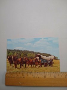 M-41094 Historic Conestoga Wagon Drawn by a Team of Belgians Pennsylvania