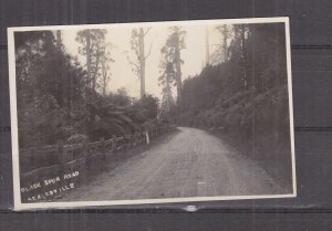 VICTORIA, HEALESVILLE, BLACKSPUR ROAD, c1920 real photo ppc., unused.