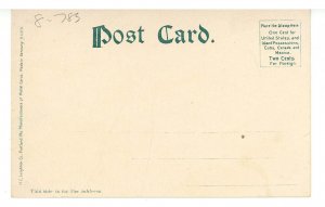 NH - North Woodstock. Alpine House