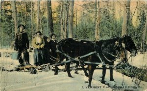 Artist impression 1914 Vermont Maple Sugar Grove Postcard 20-12918