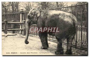 Old Postcard Paris Plant Garden L & # 39Elephant