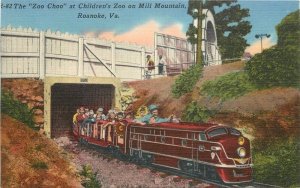 1940s Virginia Roanoke Zoo Choo Railroad Train Asheville Postcard linen 22-11169