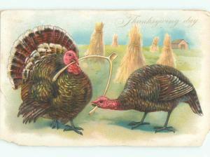 Pre-Linen Thanksgiving TURKEYS FIGHT OVER WISHBONE AB4419