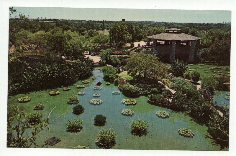 Postcard Chinese Sunken Garden  San Antonio TX PC12 8