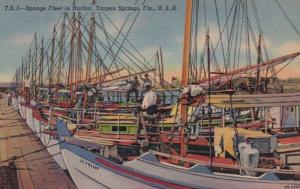 Florida Tarpon Springs Sponge Fleet In Harbor Curteich