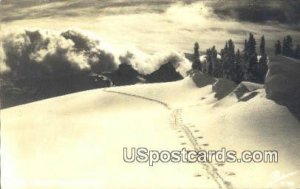 Real Photo Ski Trail - Misc, Wyoming