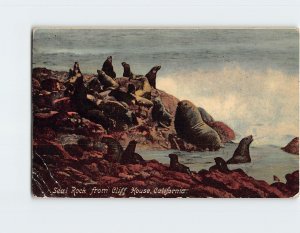 Postcard Seal Rock from Cliff House, San Francsico, California