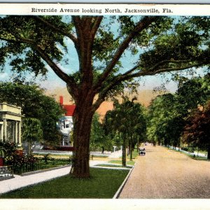 c1920s Jacksonville, Fla Riverside Avenue Postcard Residential Street View A41