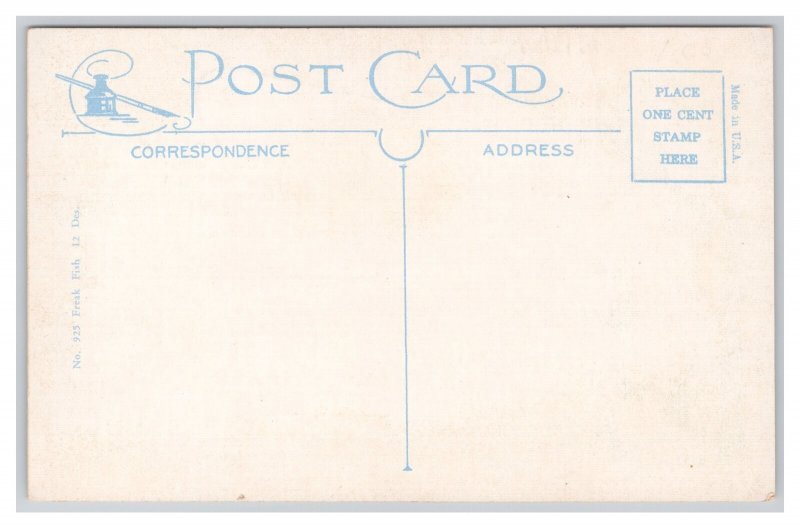 Greetings From Springdale Ark. Arkansas Exaggeration Fish Postcard