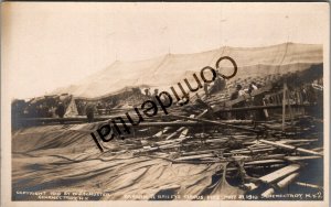 Real Photo Schenectady NY Barnum & Bailey Circus Fire Disaster 1910 RPPC RP C729