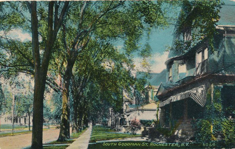 Homes on South Goodman Street, Rochester, New York - DB