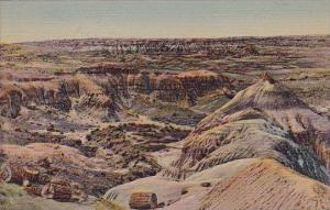 The Painted Desert Petrified Forest Arizona