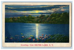 1938 Greetings From Silver Lake New York NY, Moon Lake View Vintage  Postcard
