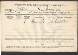 1875 Official Post Office Receipt For Registered Package Perrysburgh NY