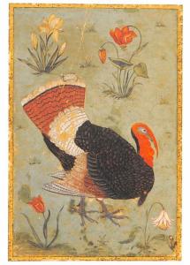 Turkey - Shah Jahan