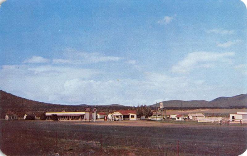 Williams Arizona Red Lake Lodge Gas Station Street View Vintage Postcard K31420