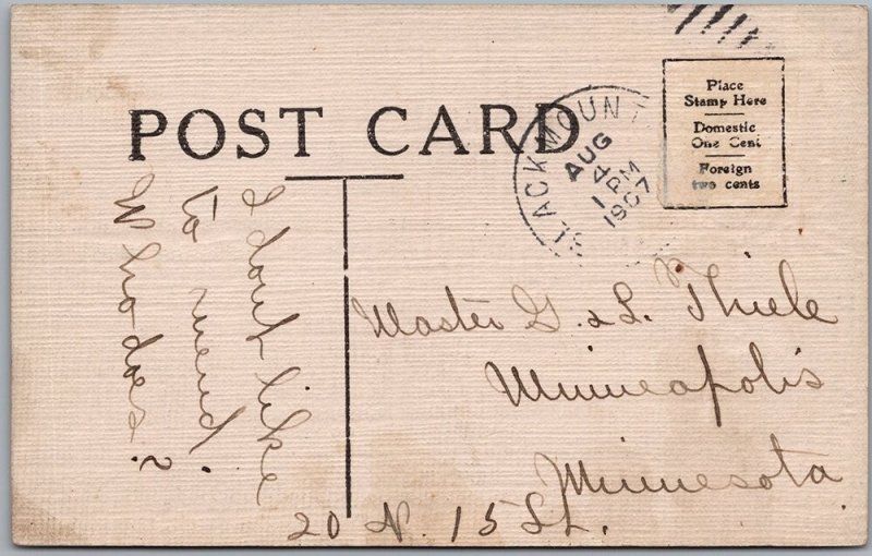 1907 D. Hillson Bear & Forbear Wednesday Anthropomorphic Teddy Bear Postcard H83